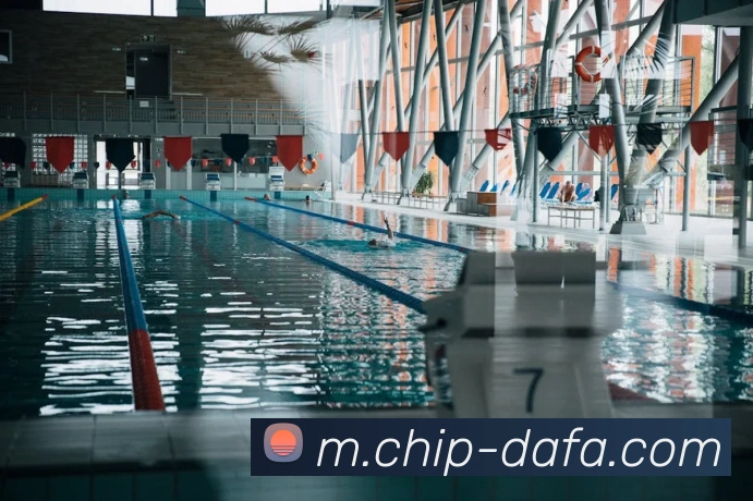 大发官网平台生态图